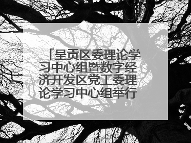 呈贡区委理论学习中心组暨数字经济开发区党工委理论学习中心组举行2025年第七次学习会议